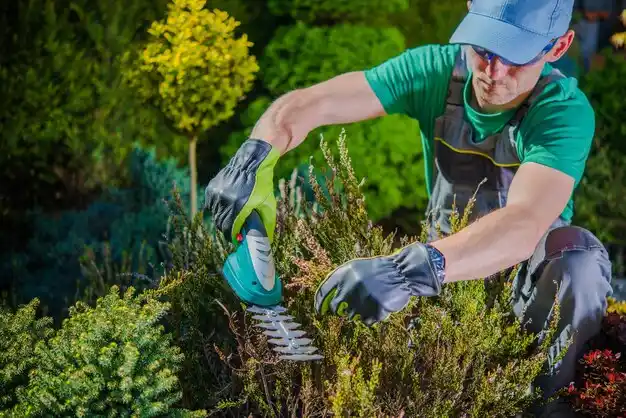 landscaping services Freeport